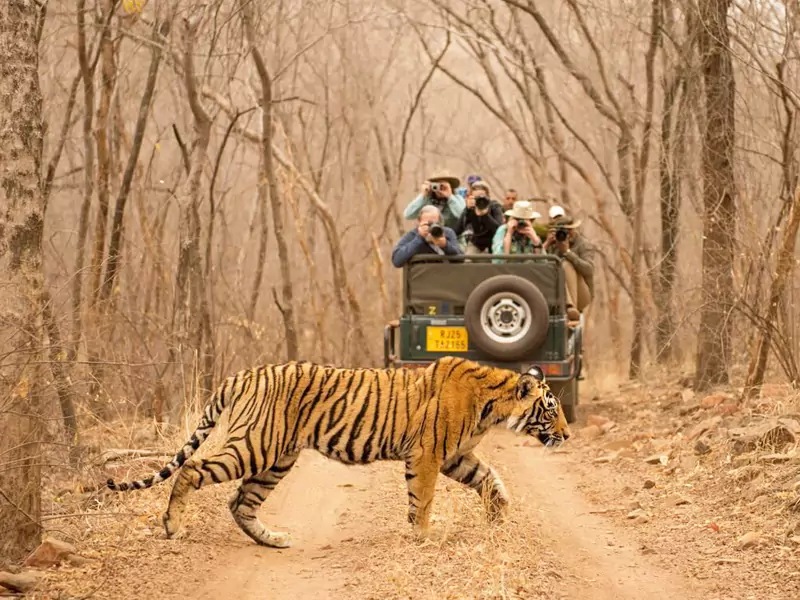 Delhi Jaipur Ranthambore Tour