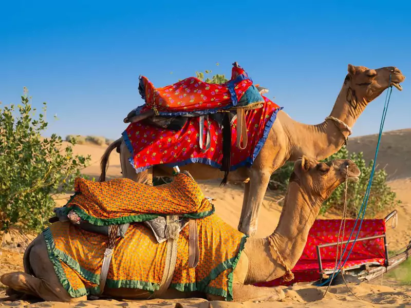 Spiritual Pushkar Day Trip from Jaipur