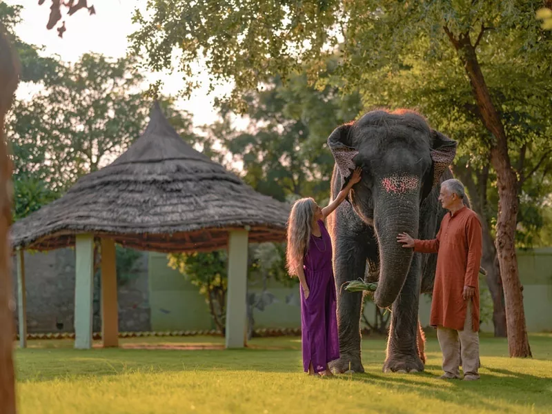 Jaipur Elephant Village Safari