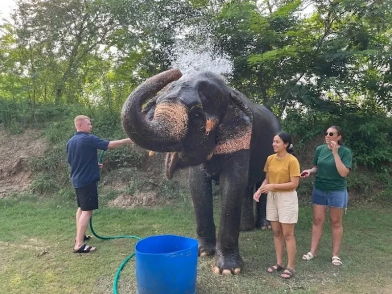 Jaipur Elephant Village Safari