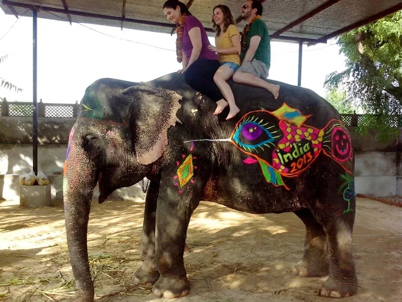 Jaipur Elephant Village Safari