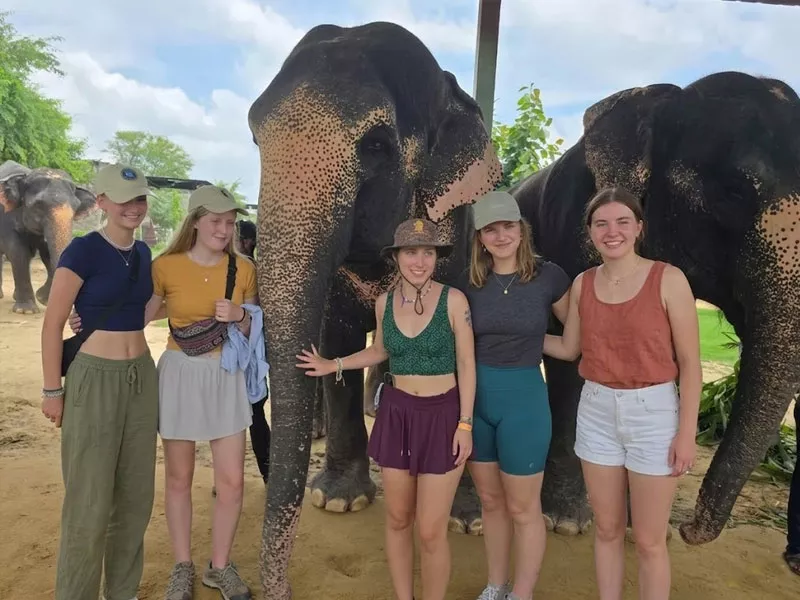 Jaipur Elephant Village Safari