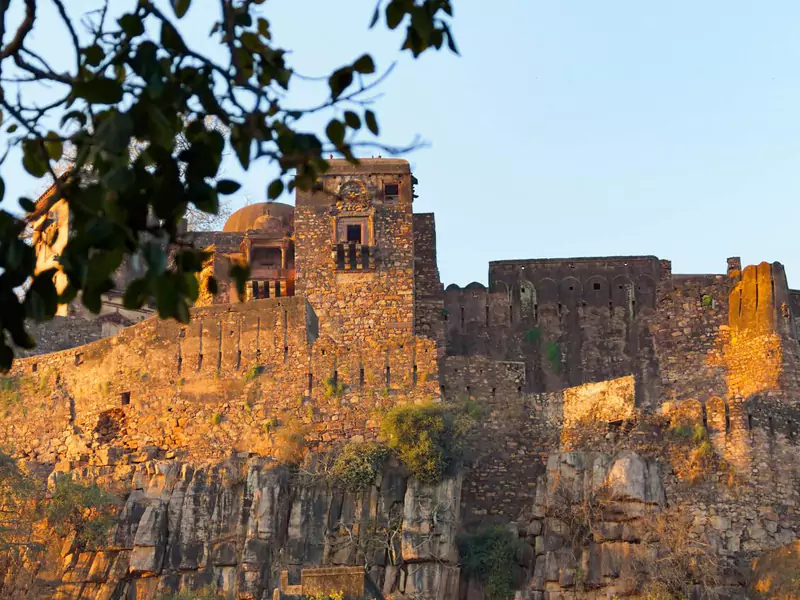 Ranthambore Day Safari from Jaipur
