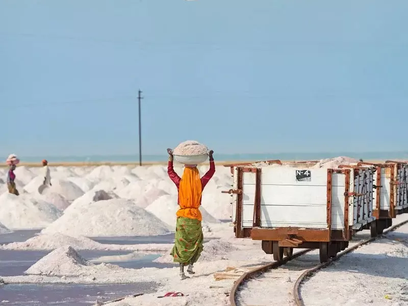 Sambhar Lake Day Trip from Jaipur