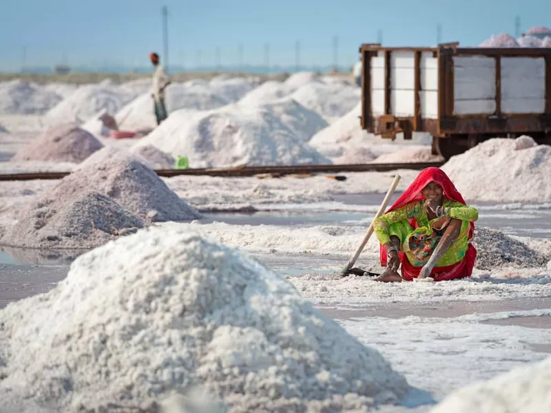 Sambhar Lake Day Trip from Jaipur