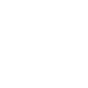 WIldlife Safari