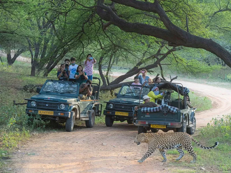 Udaipur Jawai Ranakpur Kumbhalgarh Tour